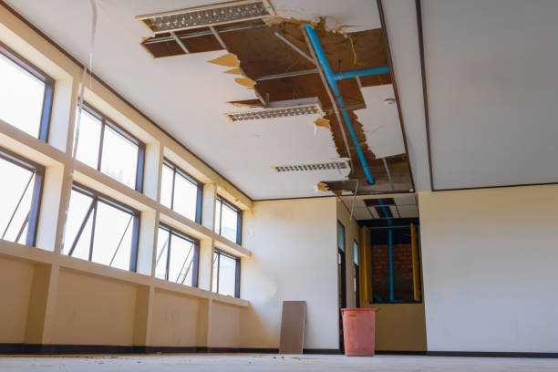 Best Flood damage cleanup  in Fergus Falls, MN