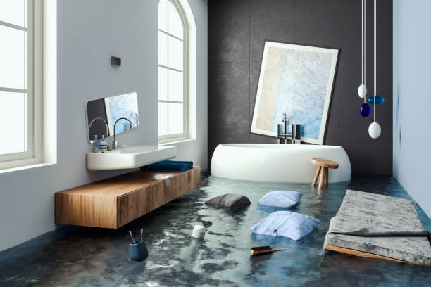 Carpet water damage restoration in Fergus Falls, MN