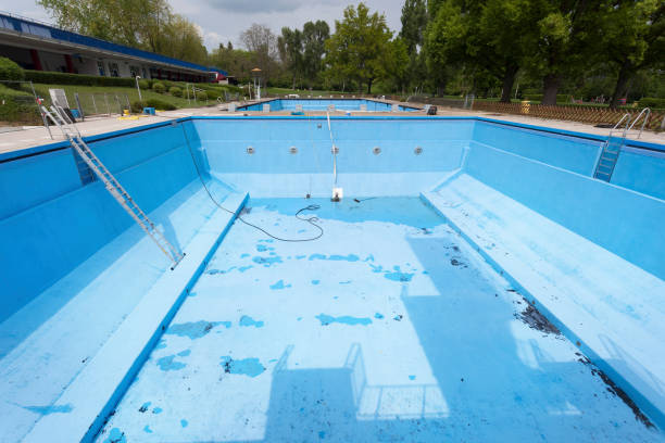 Best Basement water damage restoration  in Fergus Falls, MN