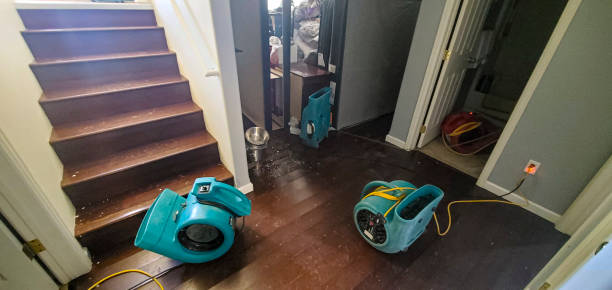 Best 24/7 water damage repair  in Fergus Falls, MN