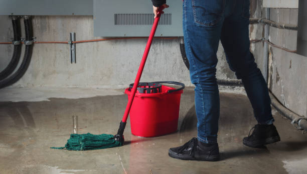 Best Water damage restoration near me  in Fergus Falls, MN
