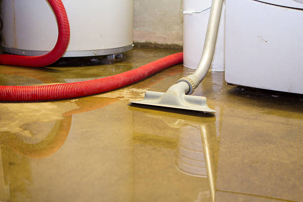 Best Ceiling water damage repair  in Fergus Falls, MN