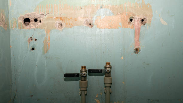 Best Fire Damage Restoration  in Fergus Falls, MN