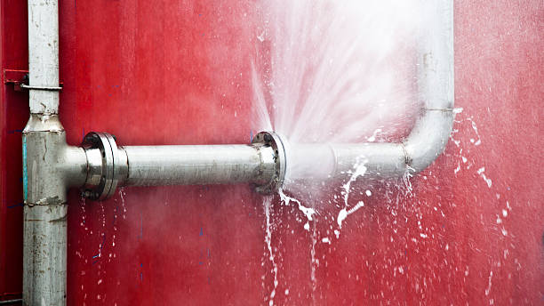 Best Professional water damage repair  in Fergus Falls, MN